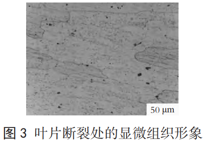 截圖20251013103335.png